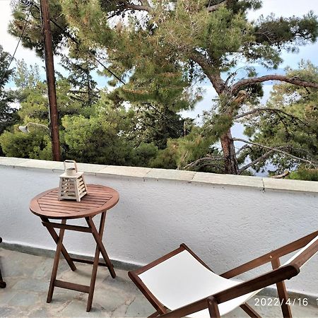 Pine Trees And Sea View Houses In Hydra - Daphne, Chloe, Myrto, Eleni 部屋 写真