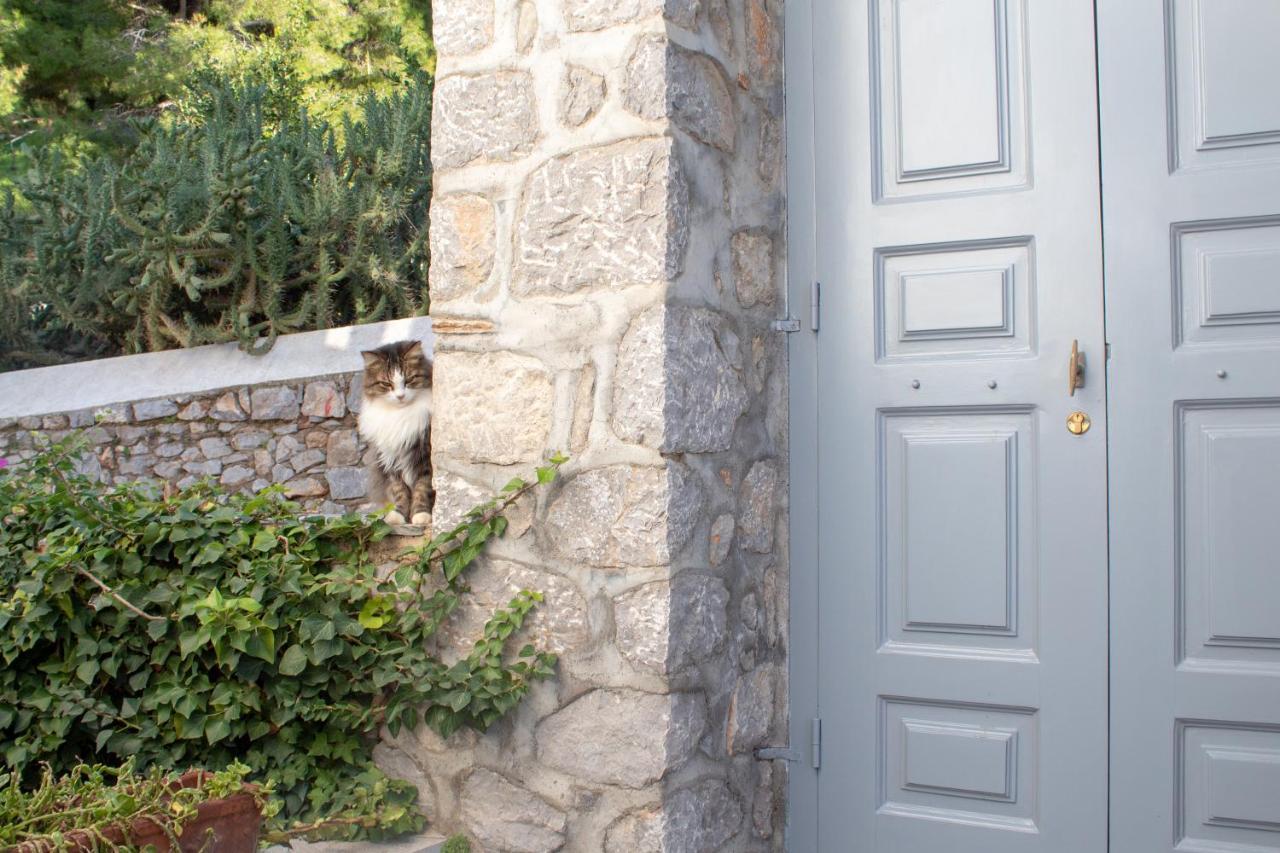 Pine Trees And Sea View Houses In Hydra - Daphne, Chloe, Myrto, Eleni エクステリア 写真