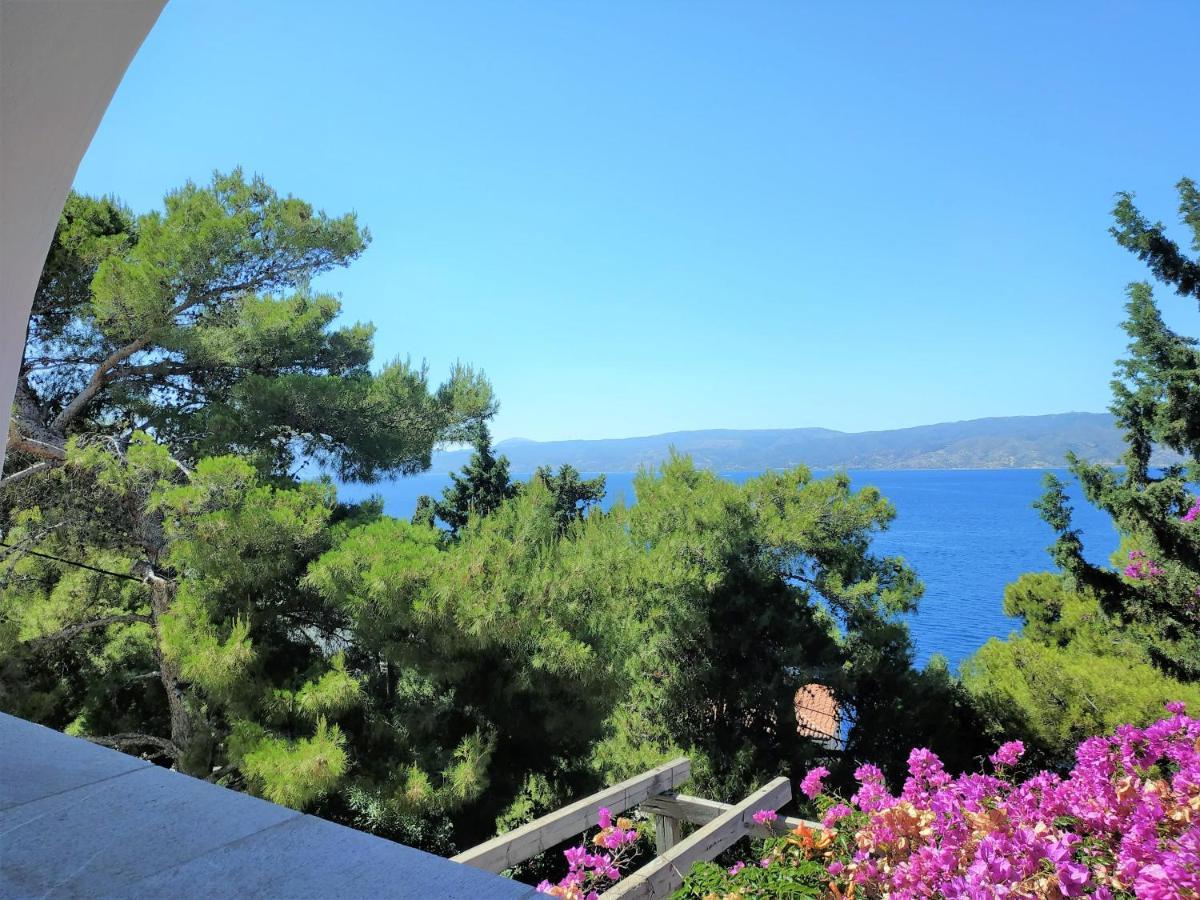 Pine Trees And Sea View Houses In Hydra - Daphne, Chloe, Myrto, Eleni エクステリア 写真