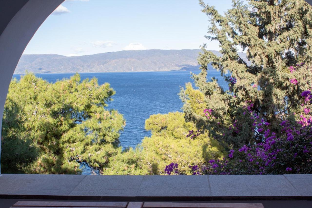 Pine Trees And Sea View Houses In Hydra - Daphne, Chloe, Myrto, Eleni エクステリア 写真