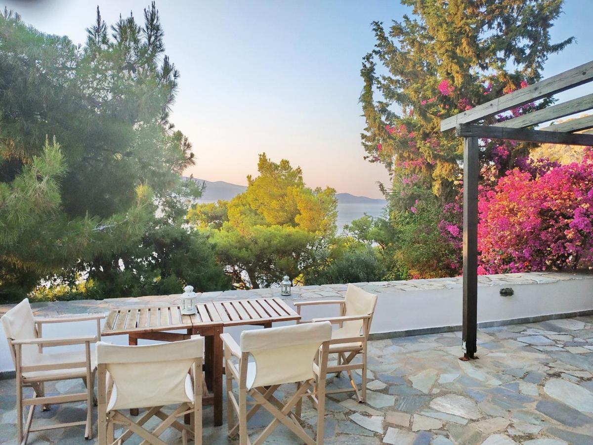 Pine Trees And Sea View Houses In Hydra - Daphne, Chloe, Myrto, Eleni エクステリア 写真