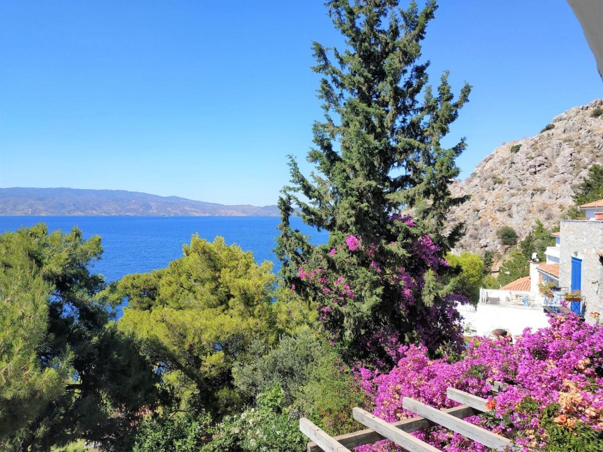 Pine Trees And Sea View Houses In Hydra - Daphne, Chloe, Myrto, Eleni エクステリア 写真