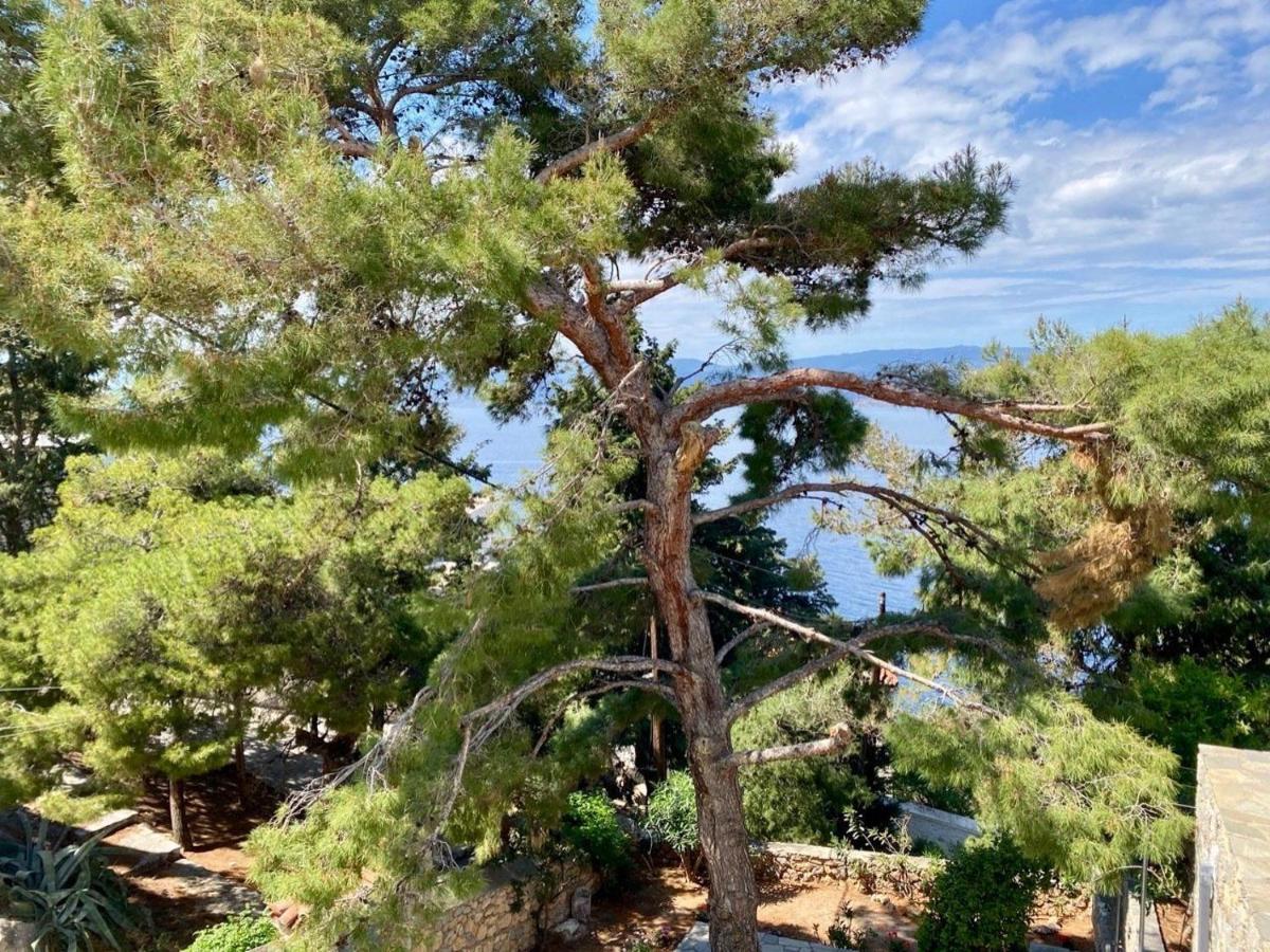 Pine Trees And Sea View Houses In Hydra - Daphne, Chloe, Myrto, Eleni エクステリア 写真