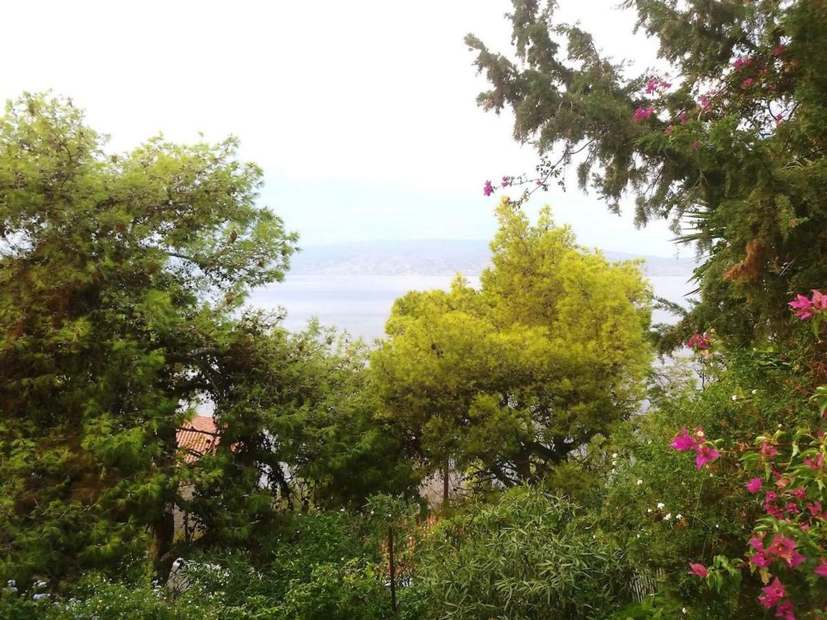 Pine Trees And Sea View Houses In Hydra - Daphne, Chloe, Myrto, Eleni エクステリア 写真