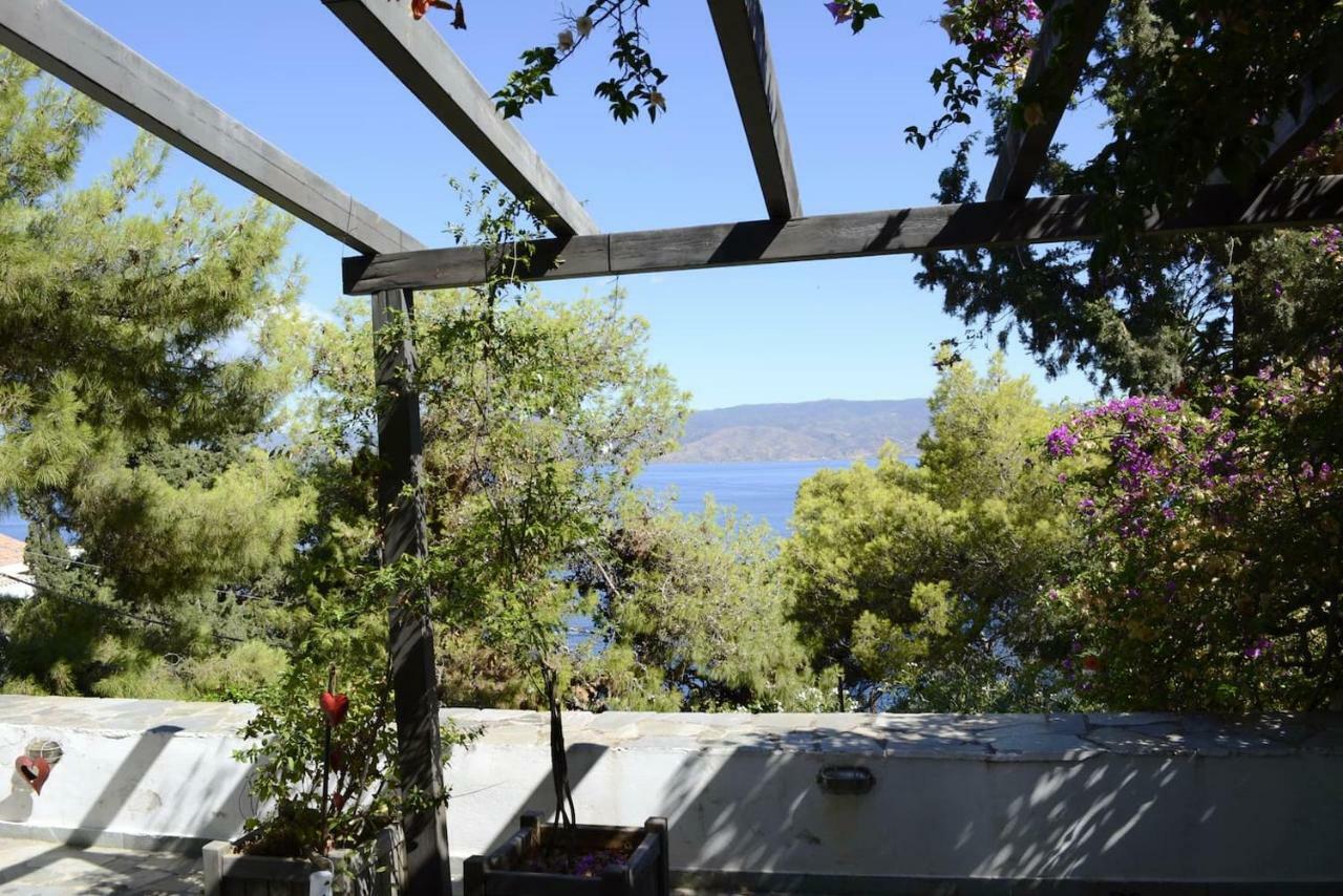Pine Trees And Sea View Houses In Hydra - Daphne, Chloe, Myrto, Eleni エクステリア 写真