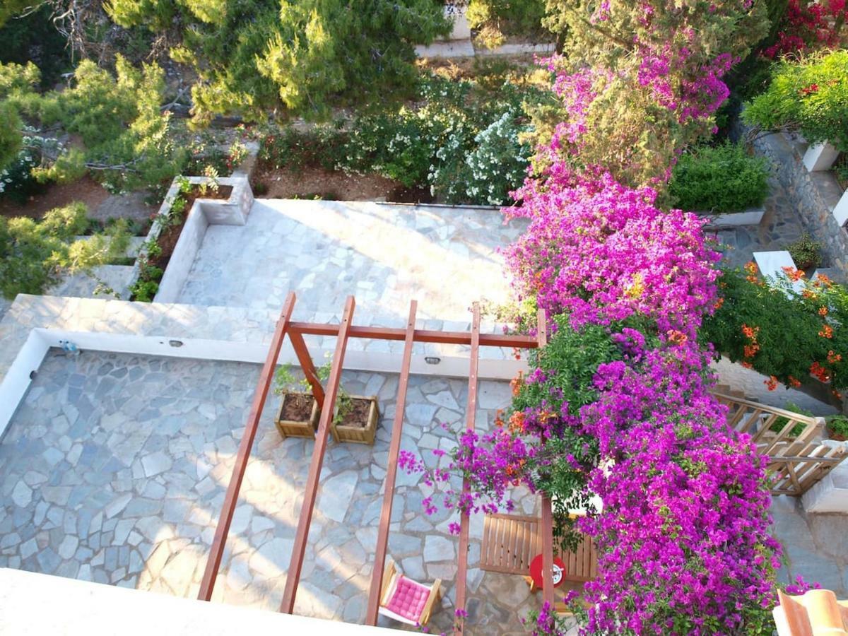 Pine Trees And Sea View Houses In Hydra - Daphne, Chloe, Myrto, Eleni エクステリア 写真